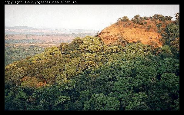 Bhimashankar mountains and forest
