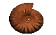 B Network logo